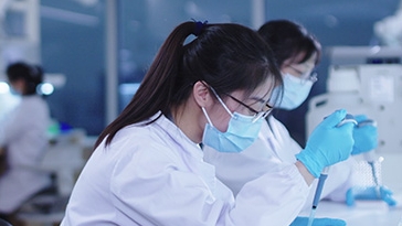 化合物LM22B-10在制备角膜上皮及神经损伤治疗药物中的应用